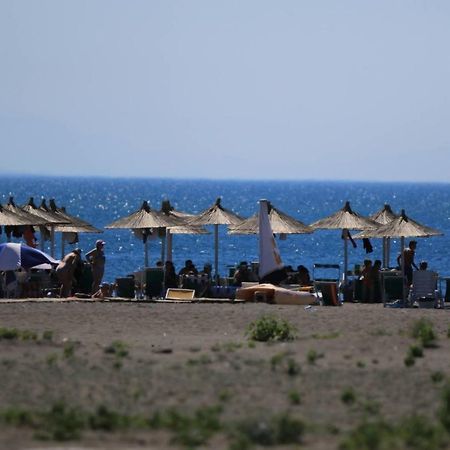 Hotel Princi I Vogel Velipojë Εξωτερικό φωτογραφία