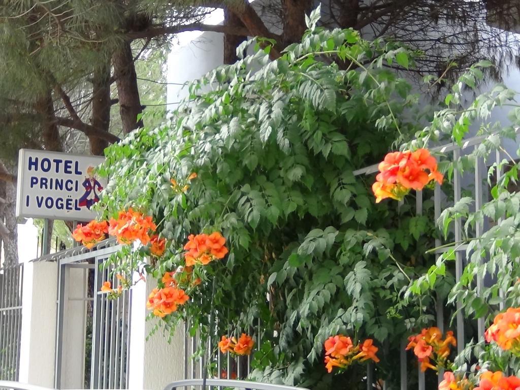 Hotel Princi I Vogel Velipojë Εξωτερικό φωτογραφία