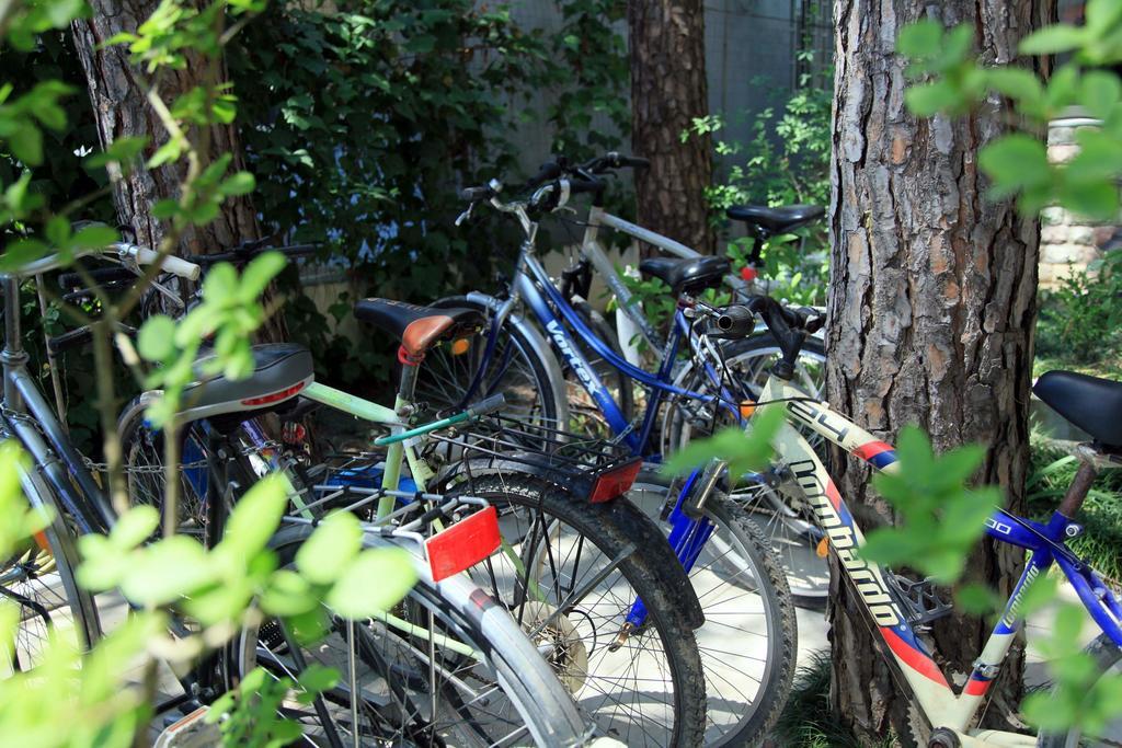 Hotel Princi I Vogel Velipojë Εξωτερικό φωτογραφία