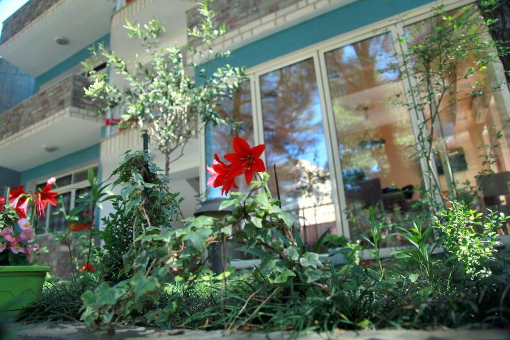 Hotel Princi I Vogel Velipojë Εξωτερικό φωτογραφία